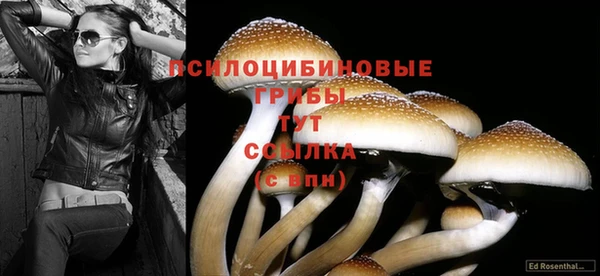 мдма Ахтубинск