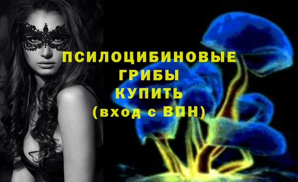 гашик Дмитров