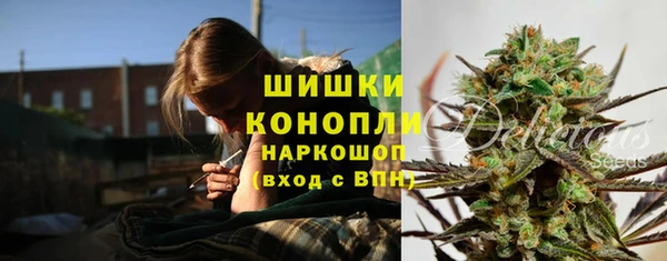 шишки Медногорск