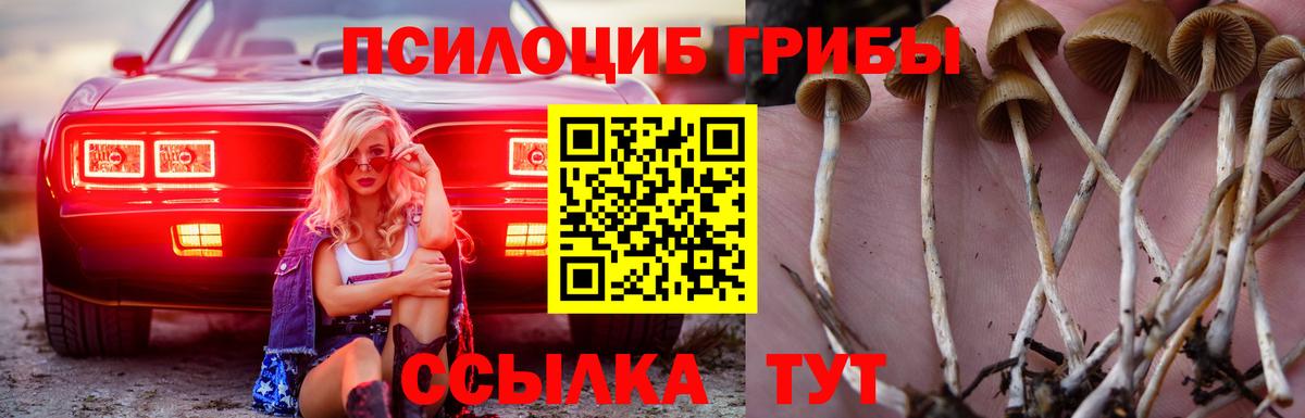 Галлюциногенные грибы мухоморы  Вход с VPN  Звенигород 