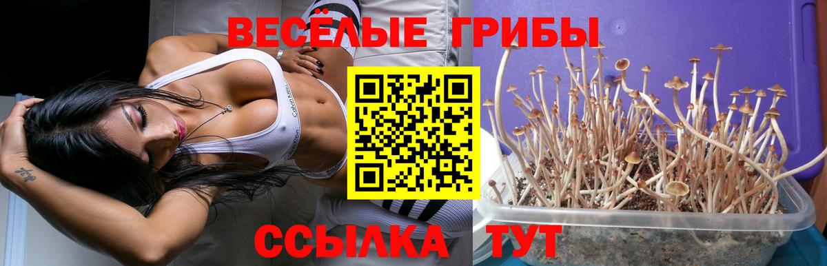 Галлюциногенные грибы MAGIC MUSHROOMS  Звенигород 